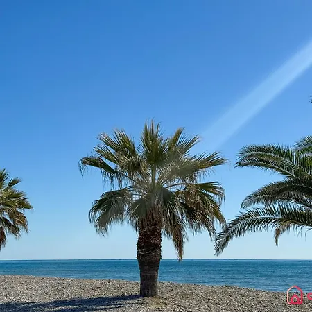 Mar De Letras *