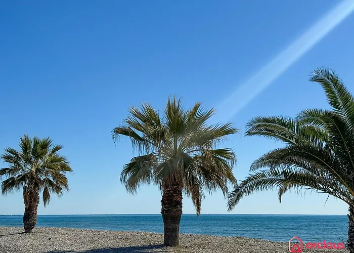 Mar De Letras *